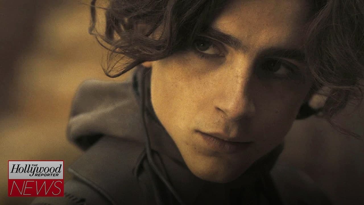 Timothée Chalamet Box Office Track Record: The Numbers